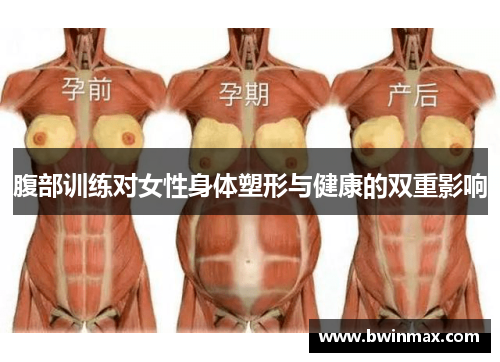 腹部训练对女性身体塑形与健康的双重影响